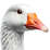 logo jambraks