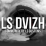 logo LSDVIZH
