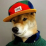 logo StreetDog_TV